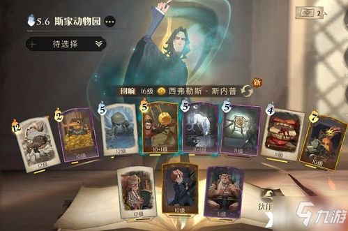 哈利波特魔法觉醒：纽特麦格流攻略，深度解析高效玩法技巧