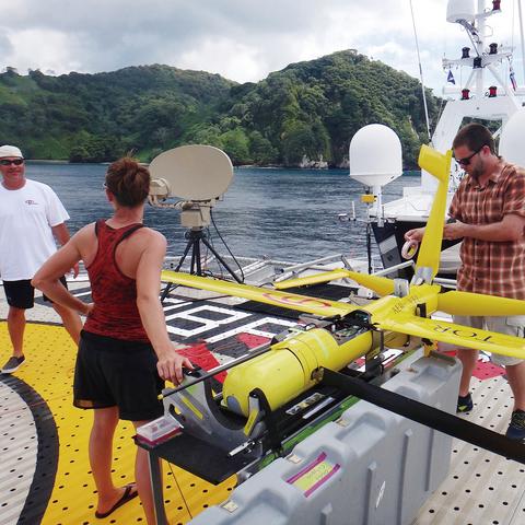 轻松捕鱼新秀攻略：新手必看高效技巧揭秘