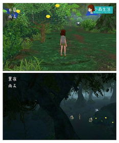 幽光森林山洞位置揭秘：探寻神秘新地标