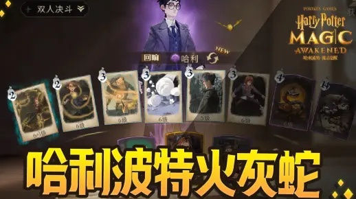 哈利波特觉醒卡组攻略：火蛇折磨流搭配技巧深度解析