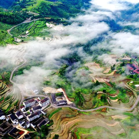 哈利波特觉醒卡牌解析：云雾飘渺强度揭秘与价值评估