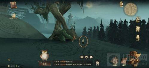 哈利波特拼图寻宝攻略：碎片线索新解密技巧大公开