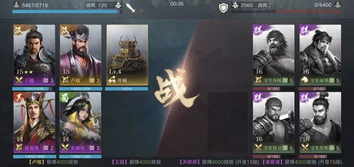 荣耀新三国甄宓阵容搭配技能属性优化攻略全解析