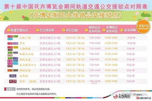 紫月城快速导航攻略，揭秘高效前往技巧