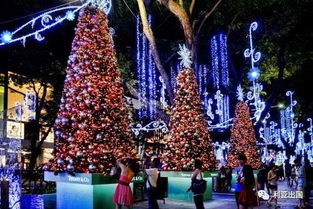 诺弗兰烟花秘制配方：节日烟花合成攻略大揭秘