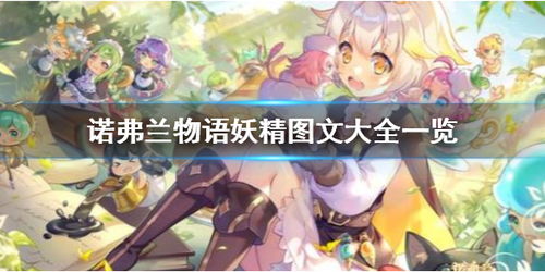 诺弗兰物语乱石滩升级攻略：高效采集物提升秘籍