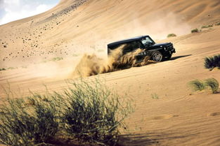 荒漠沙丘竞速秘境：王牌赛道精准定位攻略