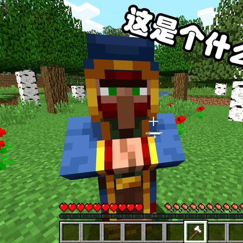 探索Minecraft巨型生物群系：揭秘超大生物群系生成奥秘