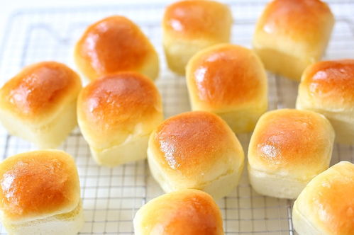 幻塔粗粮面包制作攻略：一招掌握食材获取技巧