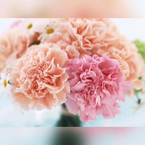 光遇雨伞获取攻略：黄色伞秘籍全解析