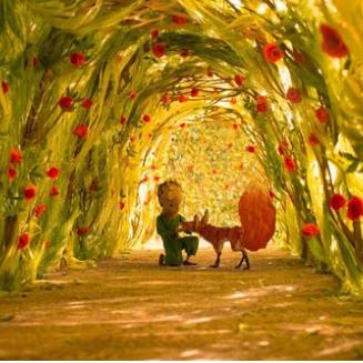 B612星球探秘：揭秘光遇小王子神秘家园位置