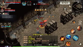 云顶浮石冥想秘境揭秘：探寻神秘力量新体验