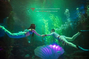 人鱼公主精灵海洋皮肤，揭秘独特魅力一览