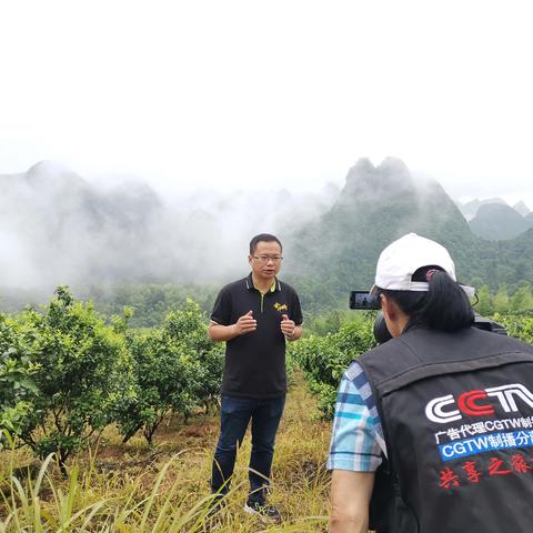 光遇共享空间开放时间大揭秘，揭秘全新体验开启！