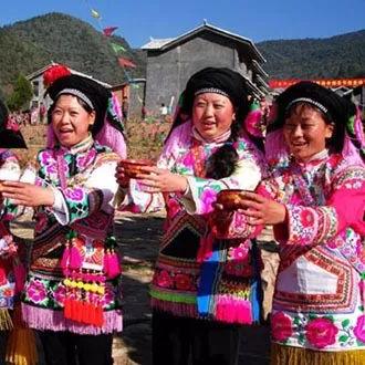 摩尔庄园手游秋千购买攻略+高效玩法技巧解析