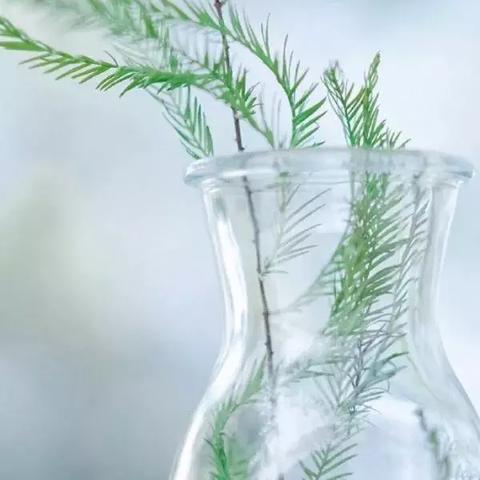 能量装置产蓝奥秘：解锁元气骑士全新价值