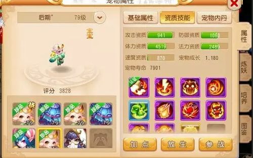 梦幻新诛仙龟速宠高效加点攻略：打造最强宠物培养秘籍