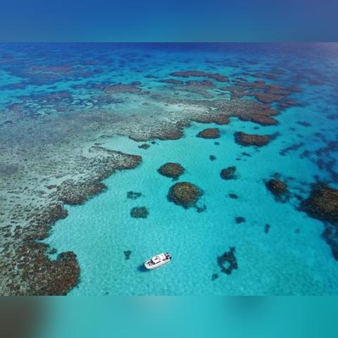 摩尔庄园手游爱心服获取攻略，一网打尽新技巧