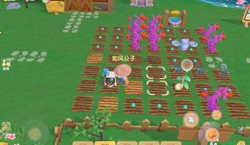 摩尔庄园手游玉米饲料攻略：轻松获取新技巧大揭秘