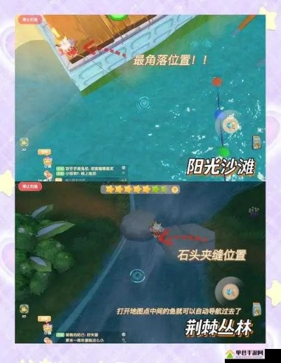 摩尔庄园手游水蜘蛛钓点攻略，全新位置速查秘籍