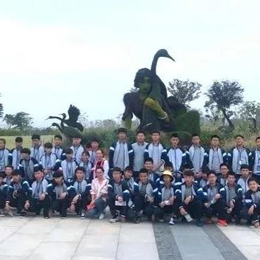 四季物语棉花高效获取攻略，揭秘位置技巧一网打尽