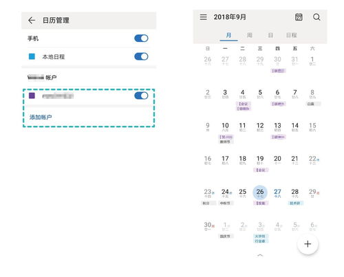 百鸟城快速导航攻略：揭秘高效进入技巧