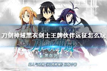 刀剑神域黑衣剑士王牌伙伴远征攻略：深度解析全新远征玩法技巧