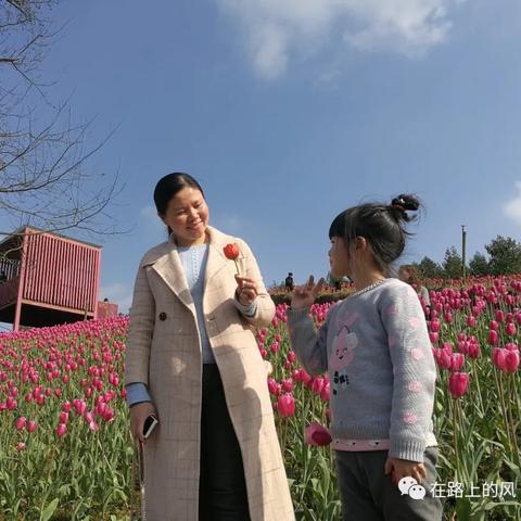 端午烟雨江湖风筝放法攻略：解锁风筝放飞技巧秘籍