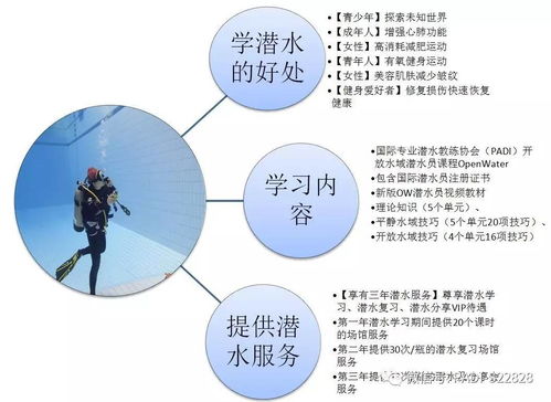 海洋公益任务攻略：揭秘高效完成新价值体验