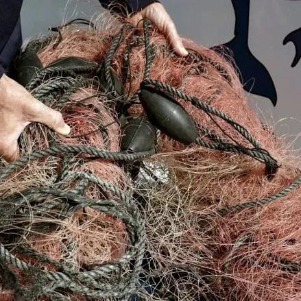 摩尔庄园手游龙虾钓点攻略：高效捕获新技巧揭秘