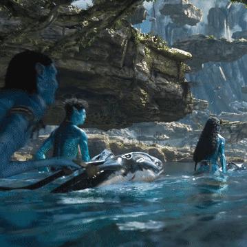 摩尔庄园手游水蜘蛛功效解析，全面揭秘新价值！