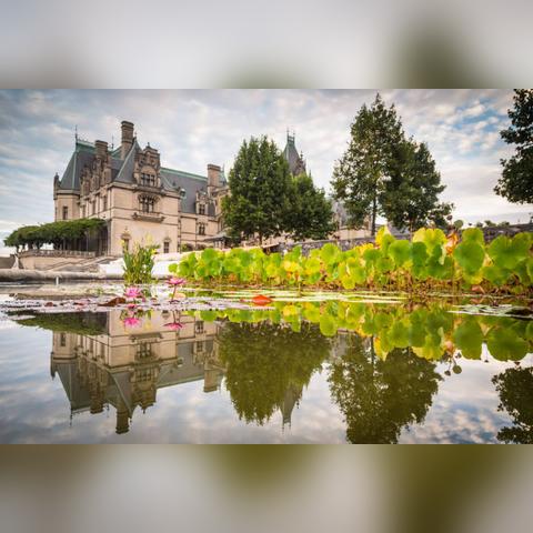 摩尔庄园手游突破购买上限秘籍，轻松解锁新境界