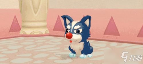 摩尔庄园手游变身攻略：哈士奇变身秘籍大公开