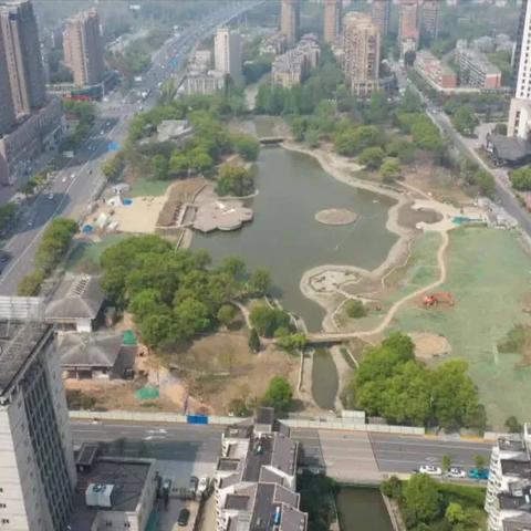 轻松掌握摩尔庄园手游樱花蛇获取攻略，解锁新宠养成秘籍