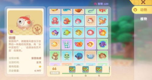 摩尔庄园手游锦鲤捕获秘籍，轻松解锁获取新攻略