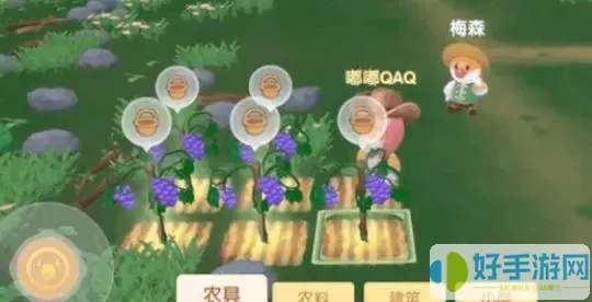 摩尔庄园手游独家秘籍：葡萄蜜桃汁制作攻略大公开