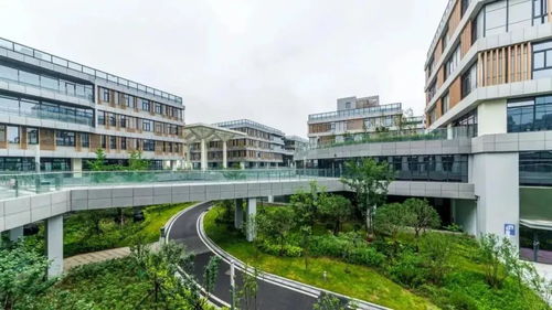 2025大型网络手游排行榜出炉，哪些黑马游戏值得零氪党必玩？