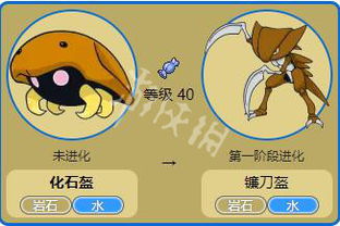 宝可梦进化揭秘：化石盔进化等级深度解析