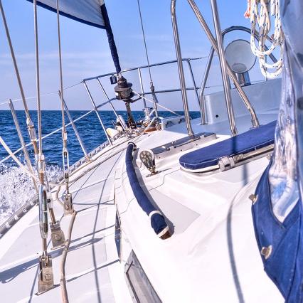 宝可梦探险家白海狮技能攻略：打造最强搭配秘籍