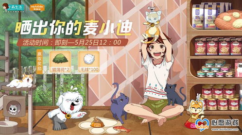 麦小迪免费领法攻略：小森生活轻松解锁新玩法