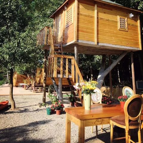 光遇新地图揭秘：小王子探险之旅全景速览