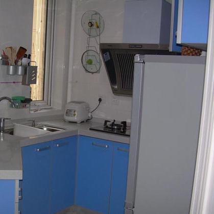 青色小花分布秘境揭秘，探索创造魔法奥秘