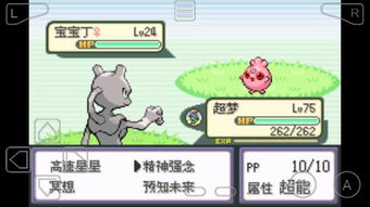 宝可梦小拳石进化解析：深度培养攻略全揭秘