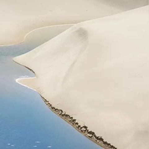 沙漠降雨攻略：揭秘小动物之星降雨时间技巧