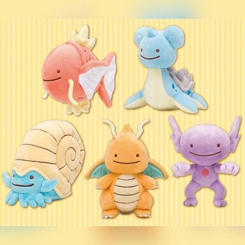 菊石兽进化揭秘：掌握高效升级新技巧