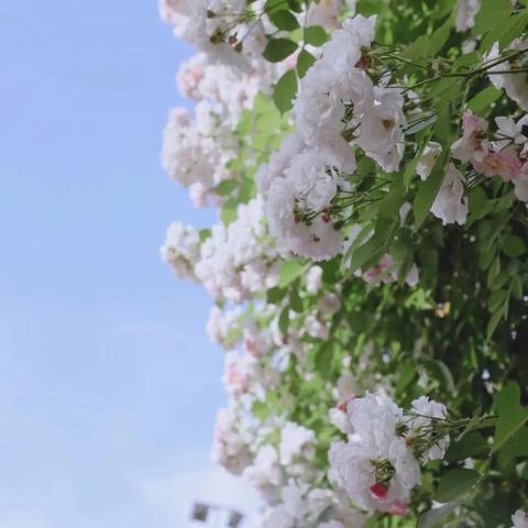 盛大密码找回2025最新实战方案，老玩家如何快速找回尘封账号？