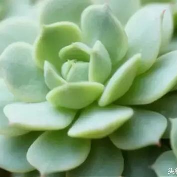 永恒之塔客户端下载还在被坑？2025独家官方直链+秒装秘籍，骨灰玩家亲授