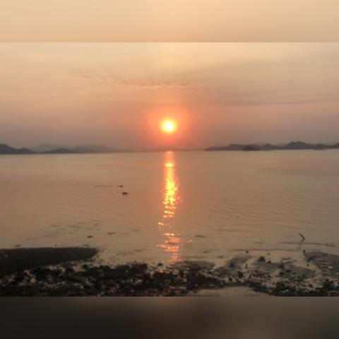 晨星岛隐藏玩法全揭秘，这些绝版奖励90%玩家都错过？