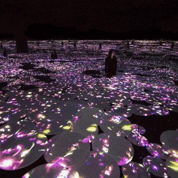 彩虹影院藏着多少游戏彩蛋？老玩家都未必找全的剧情回放技巧