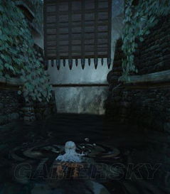 巫师3年度版怎么玩爽？新手避坑、完美结局、MOD优化全指南